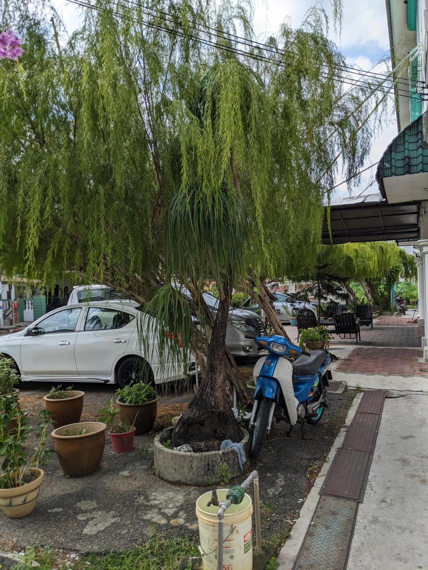 Ene Sri Cemerlang Kota Bharu Esterno foto