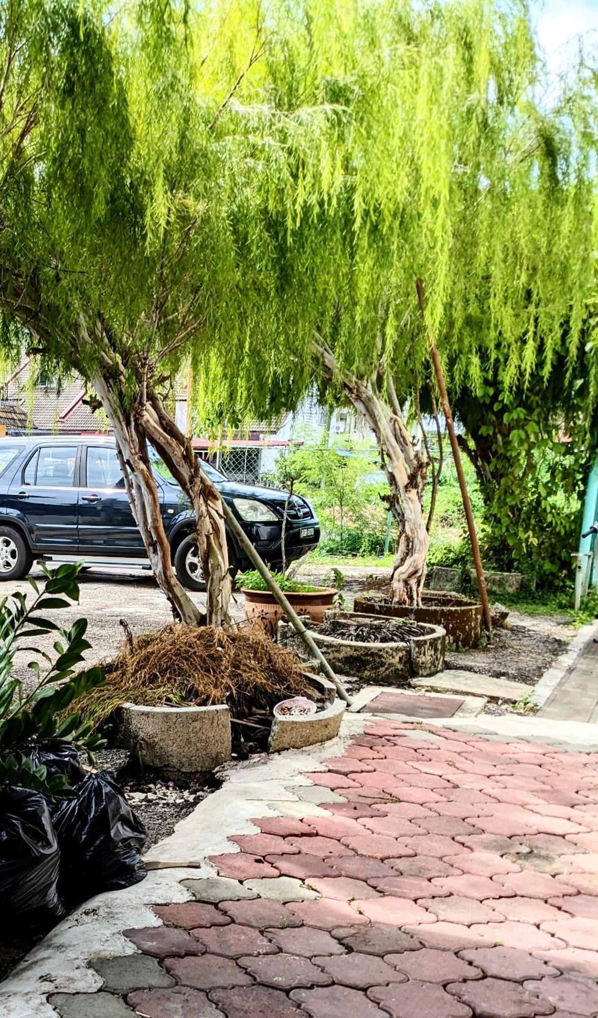 Ene Sri Cemerlang Kota Bharu Esterno foto